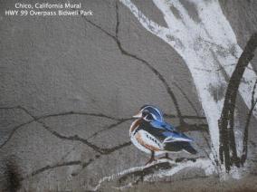Chico-California-Mural-6-Hwy-99-overpass-Bidwell-Park-jpg-777-wide