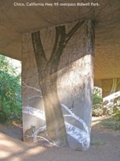 Chico-California-Mural-Hwy-99-overpass-Bidwell-Park-jpg-777-tall
